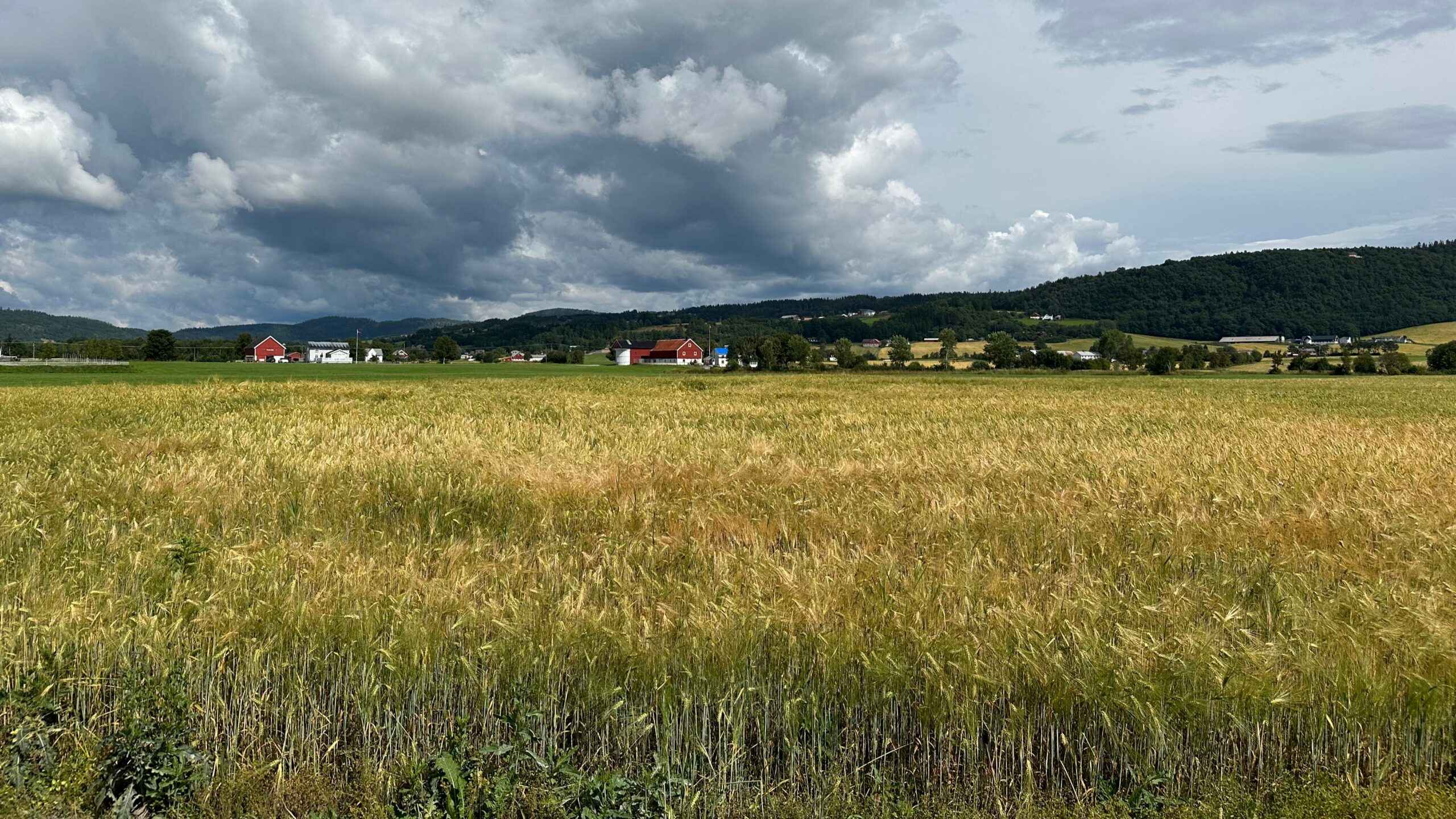kornaker_stadsbygd